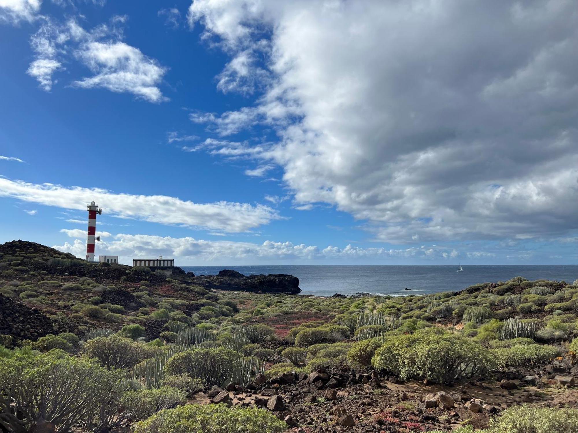 Paraiso Ocean Panorama Lejlighed Palm-mar Eksteriør billede